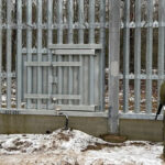 Digital Support for Europe’s Border Security: A Technical Intelligence Assessment